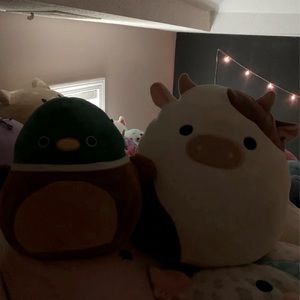 Squish-mallow, 12 inch Ronnie and 8 inch Avery